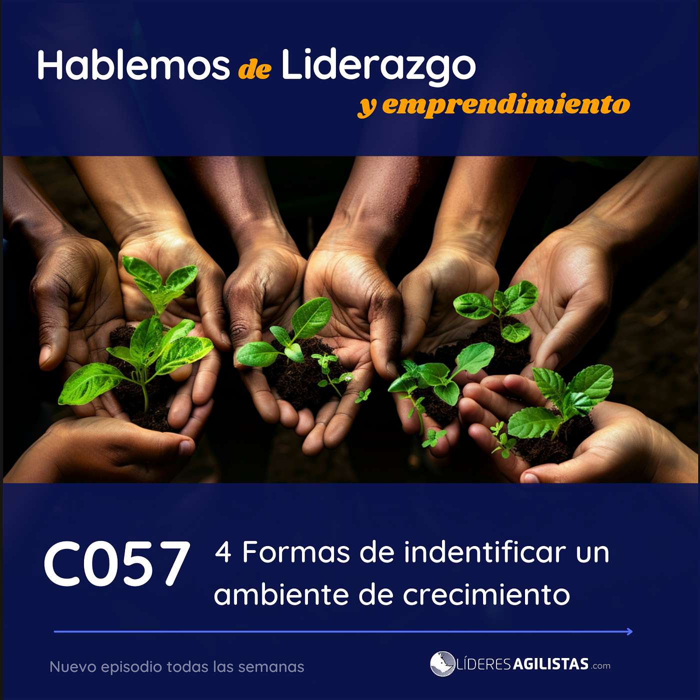 Líderes Agilistas