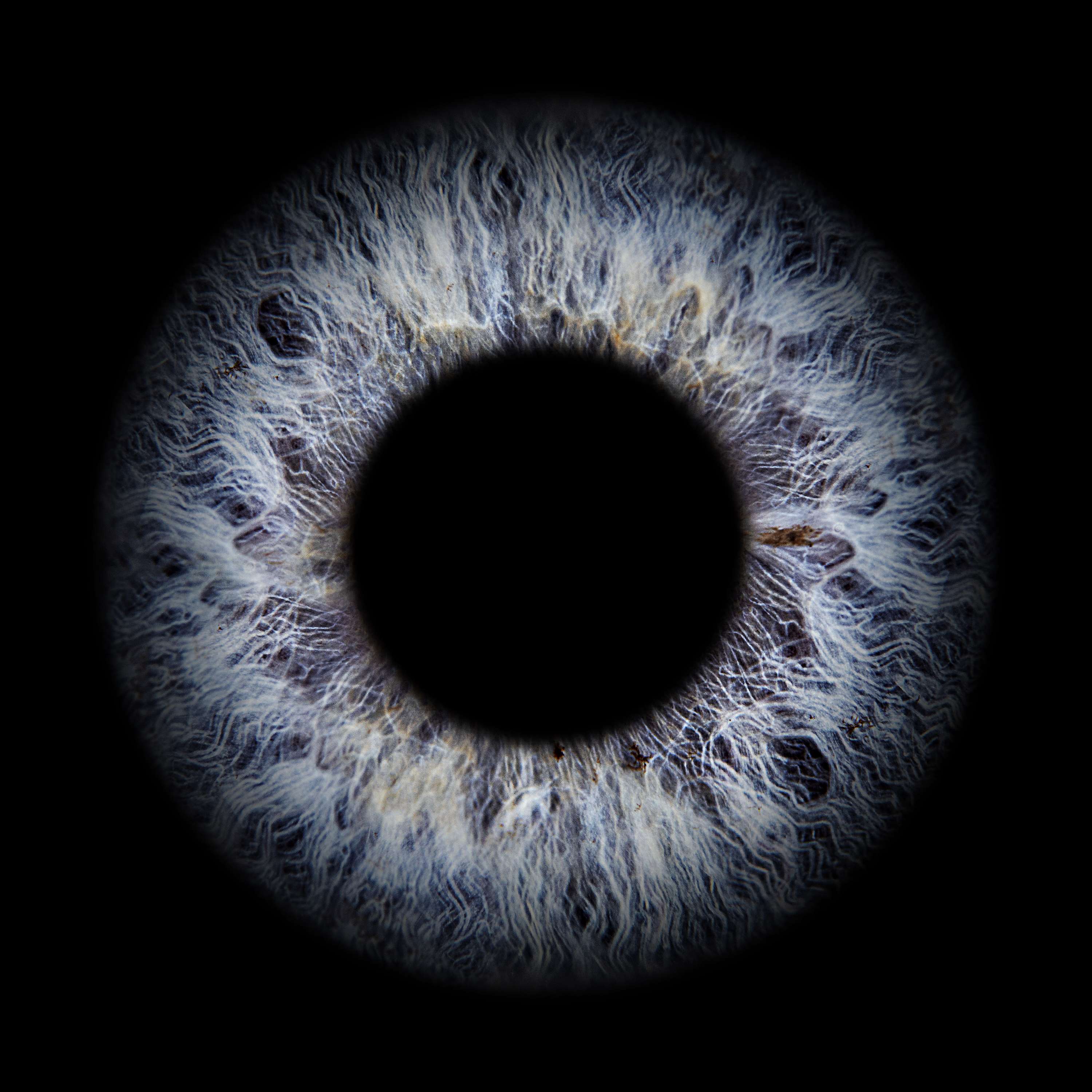 Blindseye Podcast