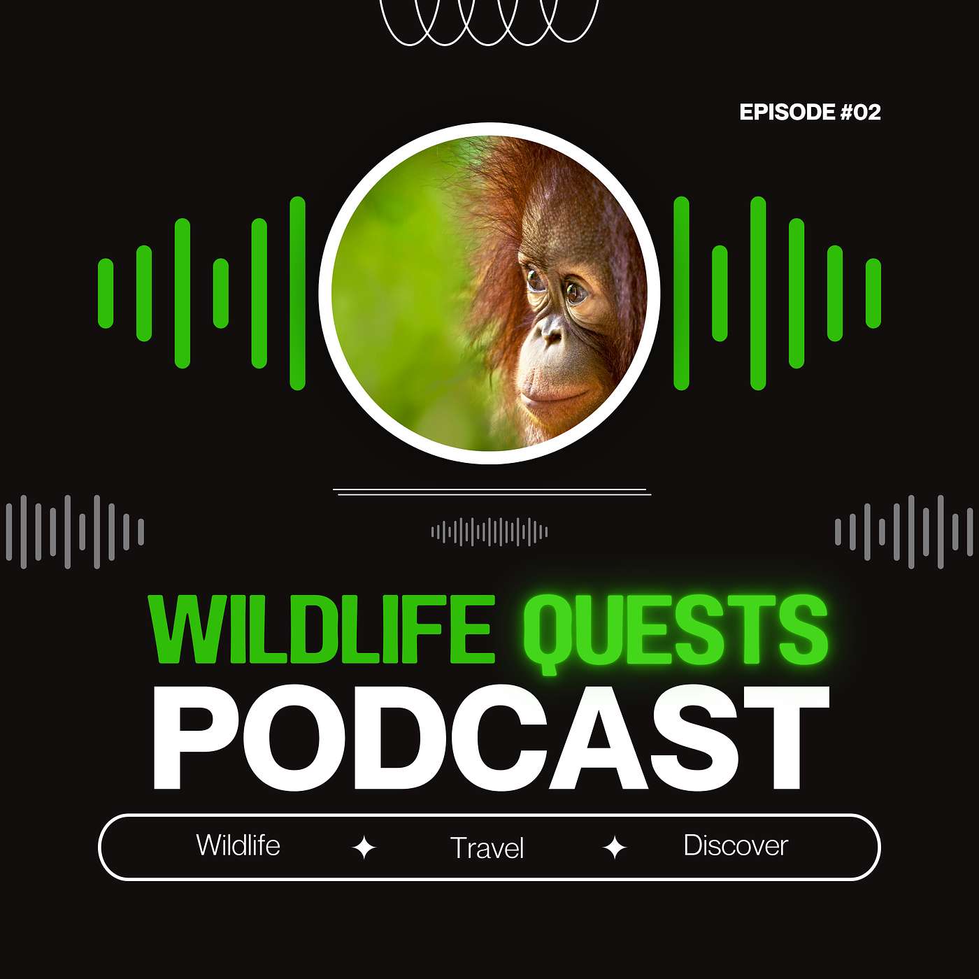 Wildlife Quests