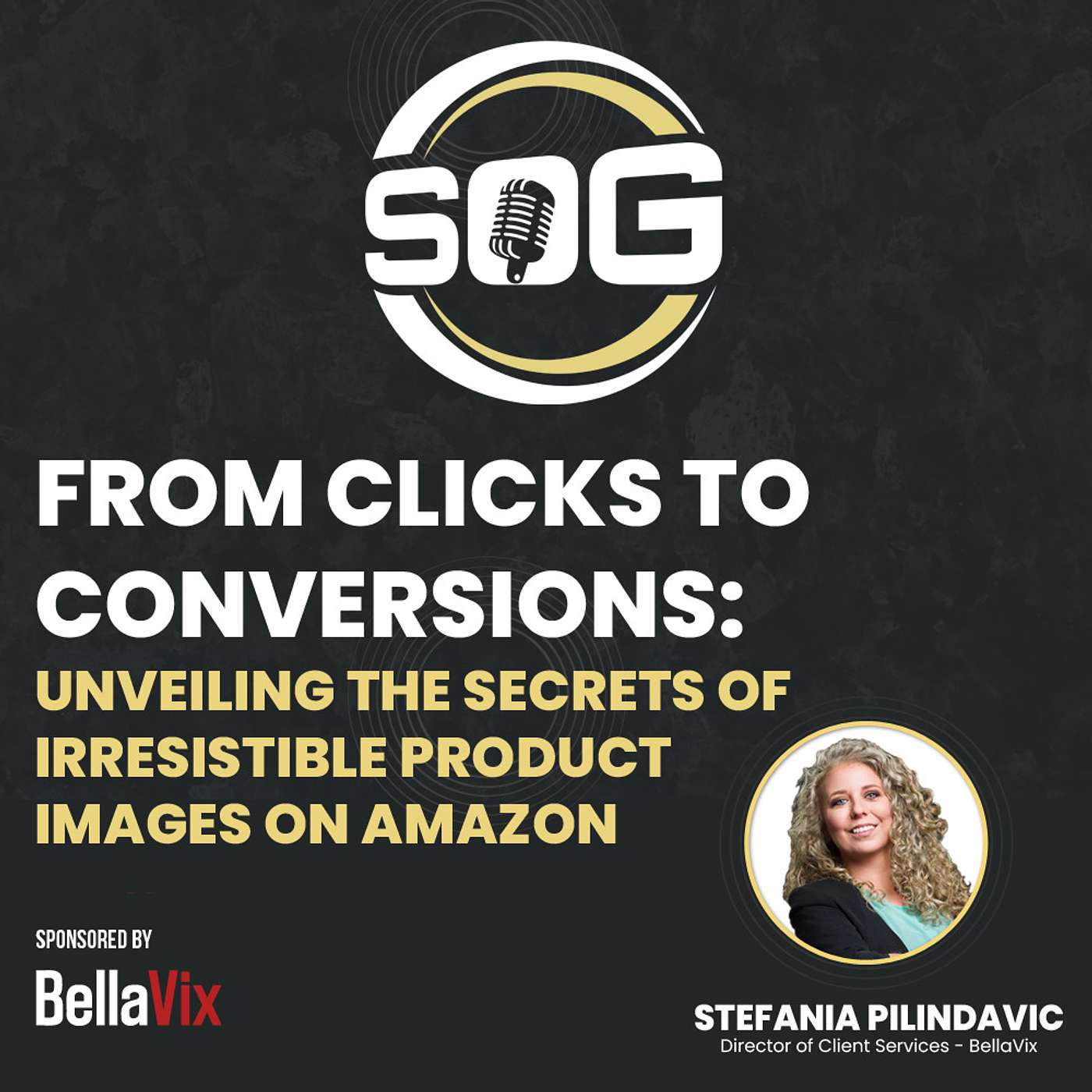 Selling on Giants: The eCommerce Marketplace Podcast