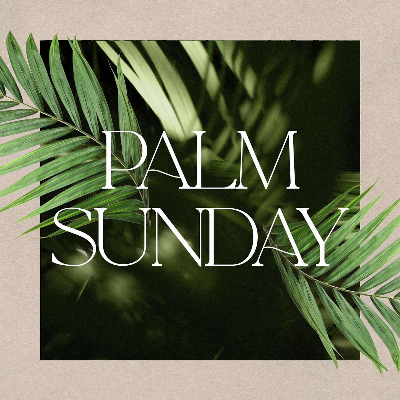 Palm Sunday | Follow the Leader