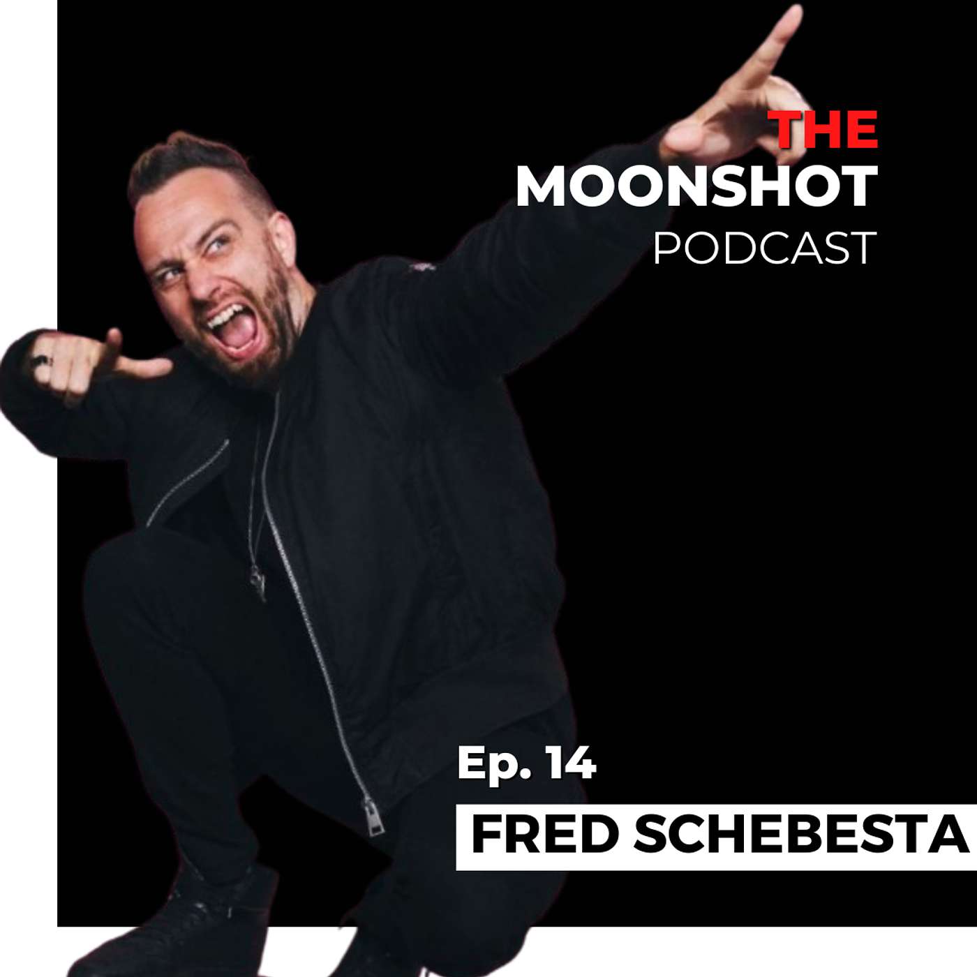 The Moonshot Podcast