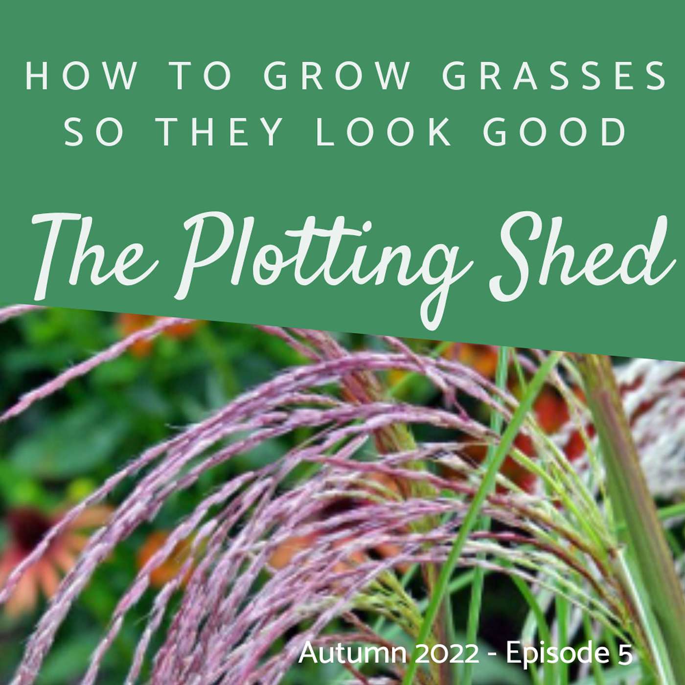 Growing a Grass Garden - do you Xeriscape?