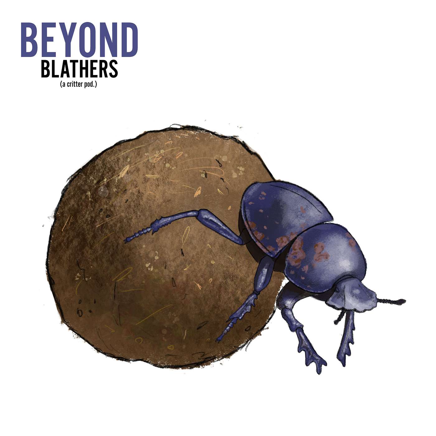 Beyond Blathers