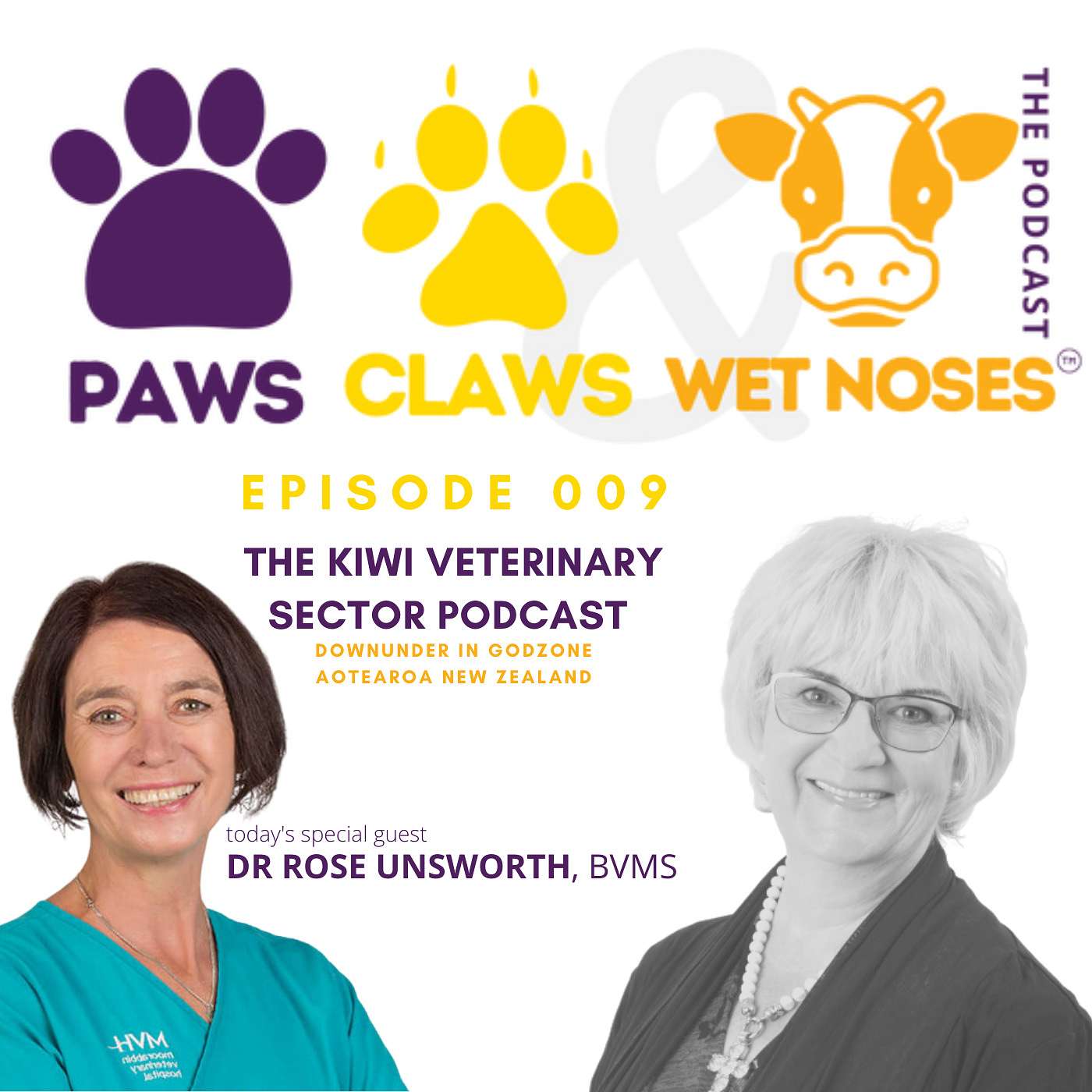 009 - Dr Rose Unsworth - locum stresses in clinic and in life pre- and during border closures