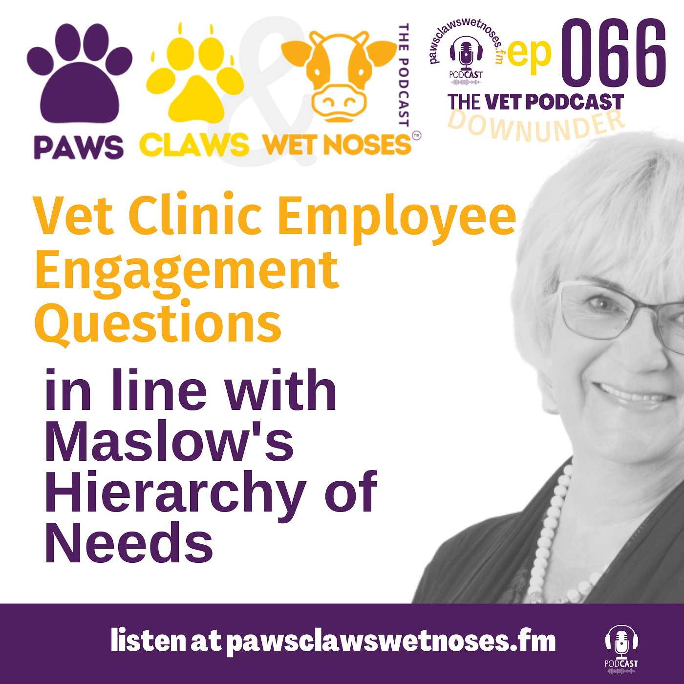 Vet Clinic Employee Engagement - pt 2 - 7 questions to ask in line with Maslow's Hierarchy of Needs