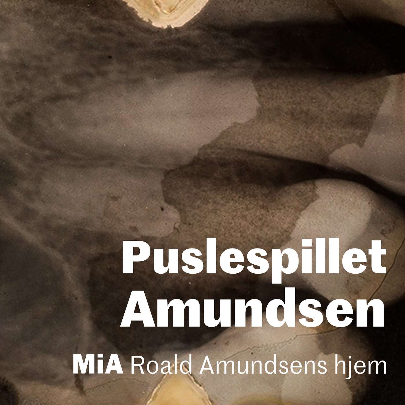 Amundsens DNA