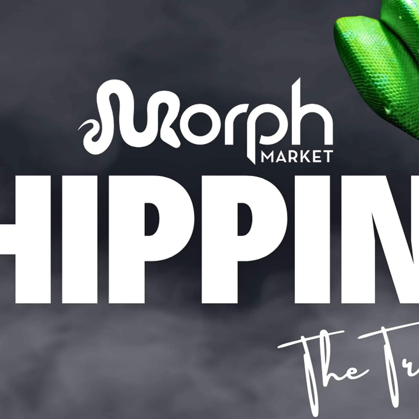 SETTING THE RECORD STRAIGHT ON THE MORPH MARKET SHIPPING RUMORS | TRAP TALK LIVE