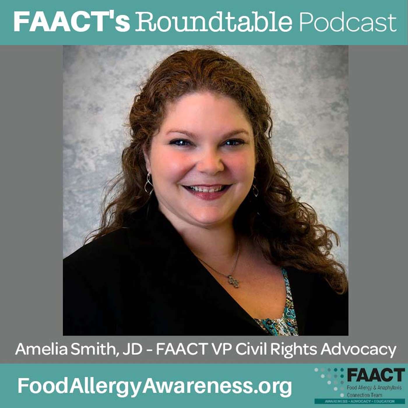 FAACT\'s Roundtable