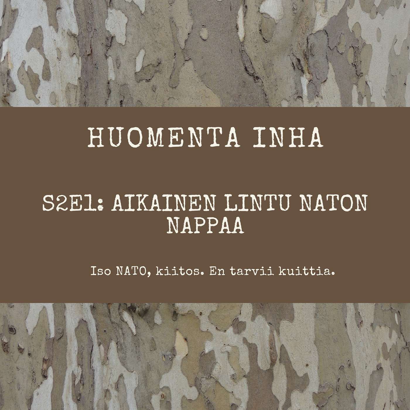 2.1 - Aikainen lintu NATOn nappaa