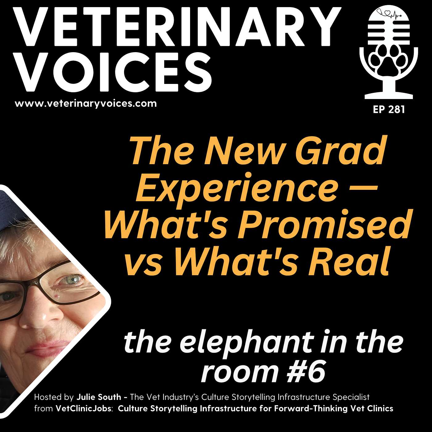The New Grad Experience — What's Promised vs What's Real - 281