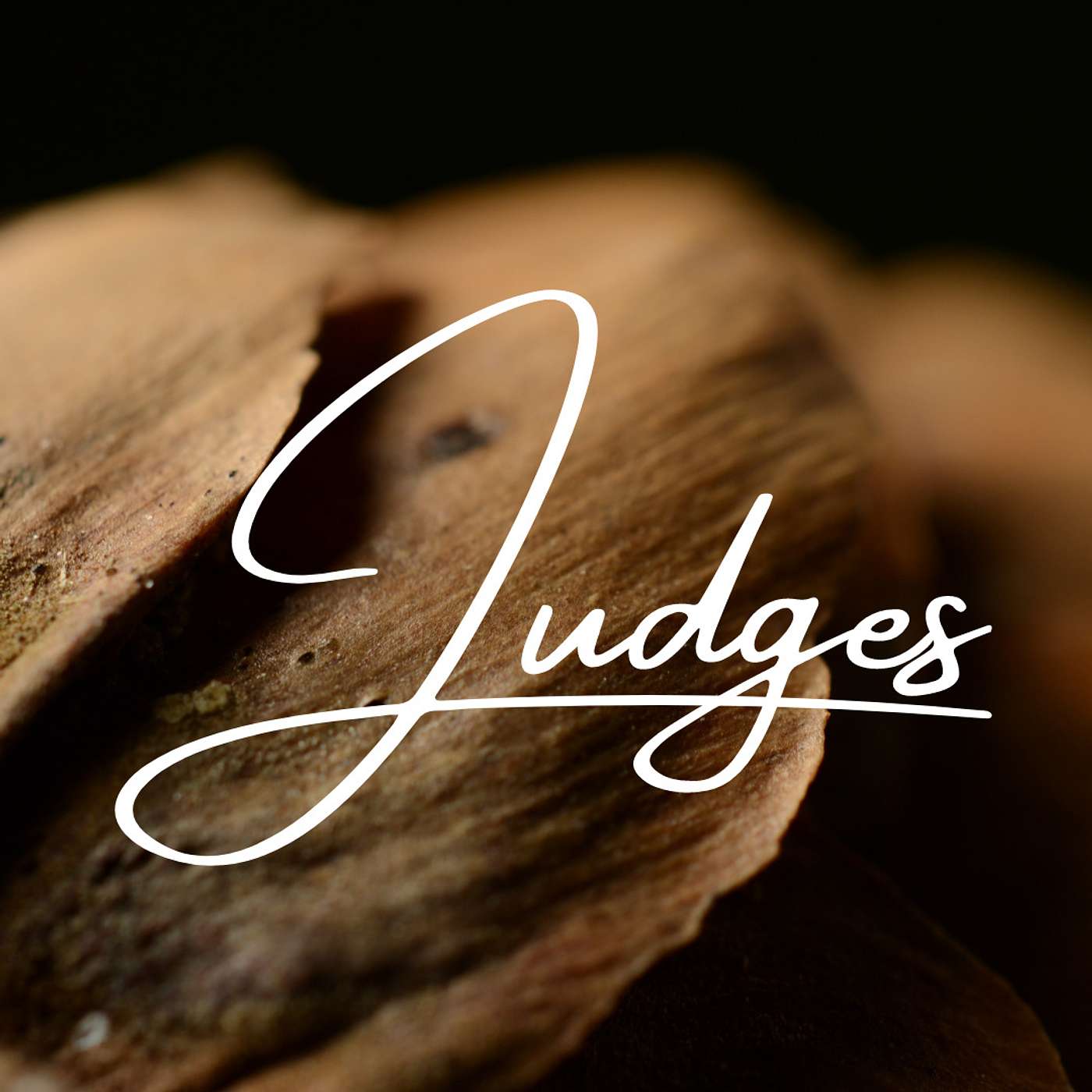 Look At The Book Episode #7: Judges episode artwork