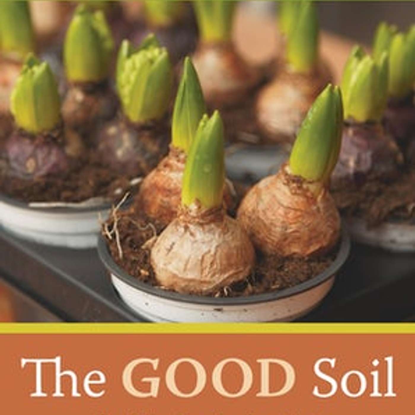 The Good Soil