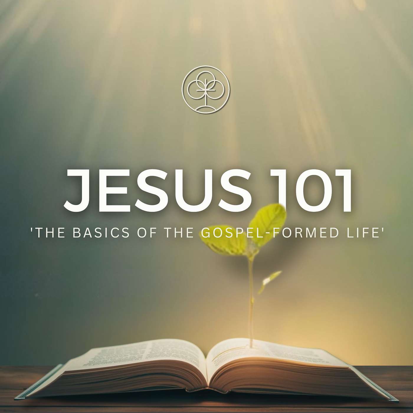 The Bible According to Jesus | The Sermon on the Mount - Living In the Kingdom episode artwork