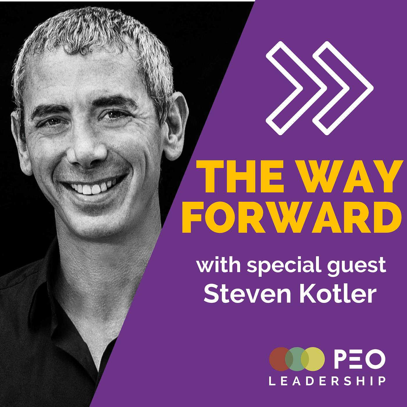 The Way Forward Webcasts with Leon Goren