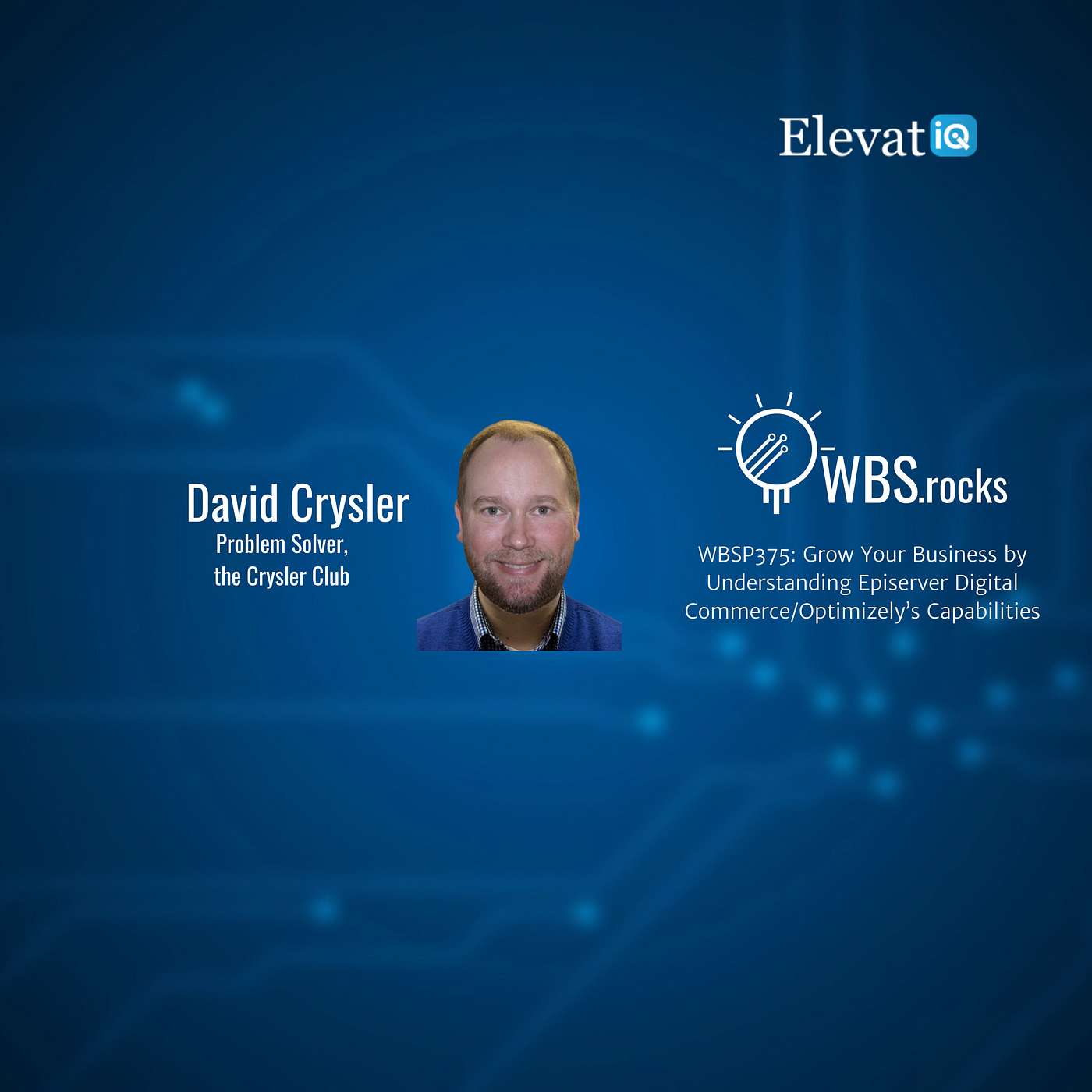 WBSP375: Grow Your Business by Understanding Episerver Digital Commerce/Optimizely’s Capabilities, an Objective Panel Discussion