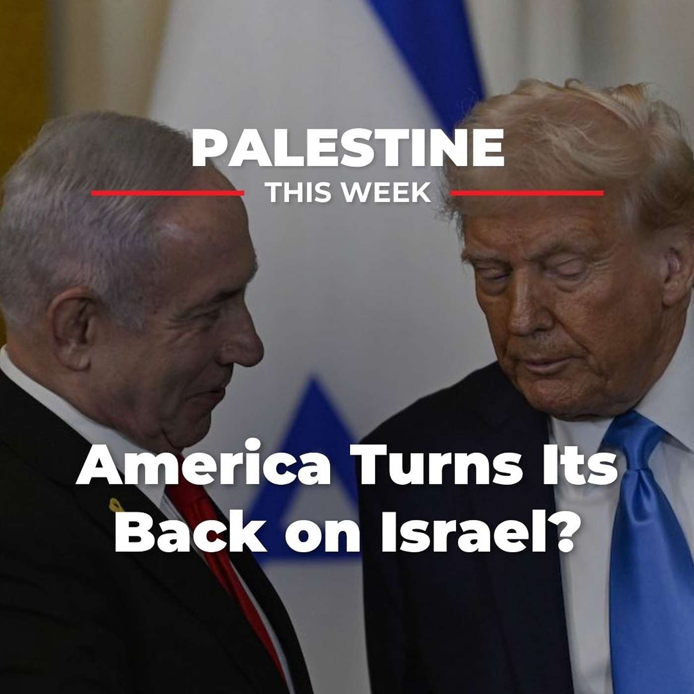 Palestine This Week