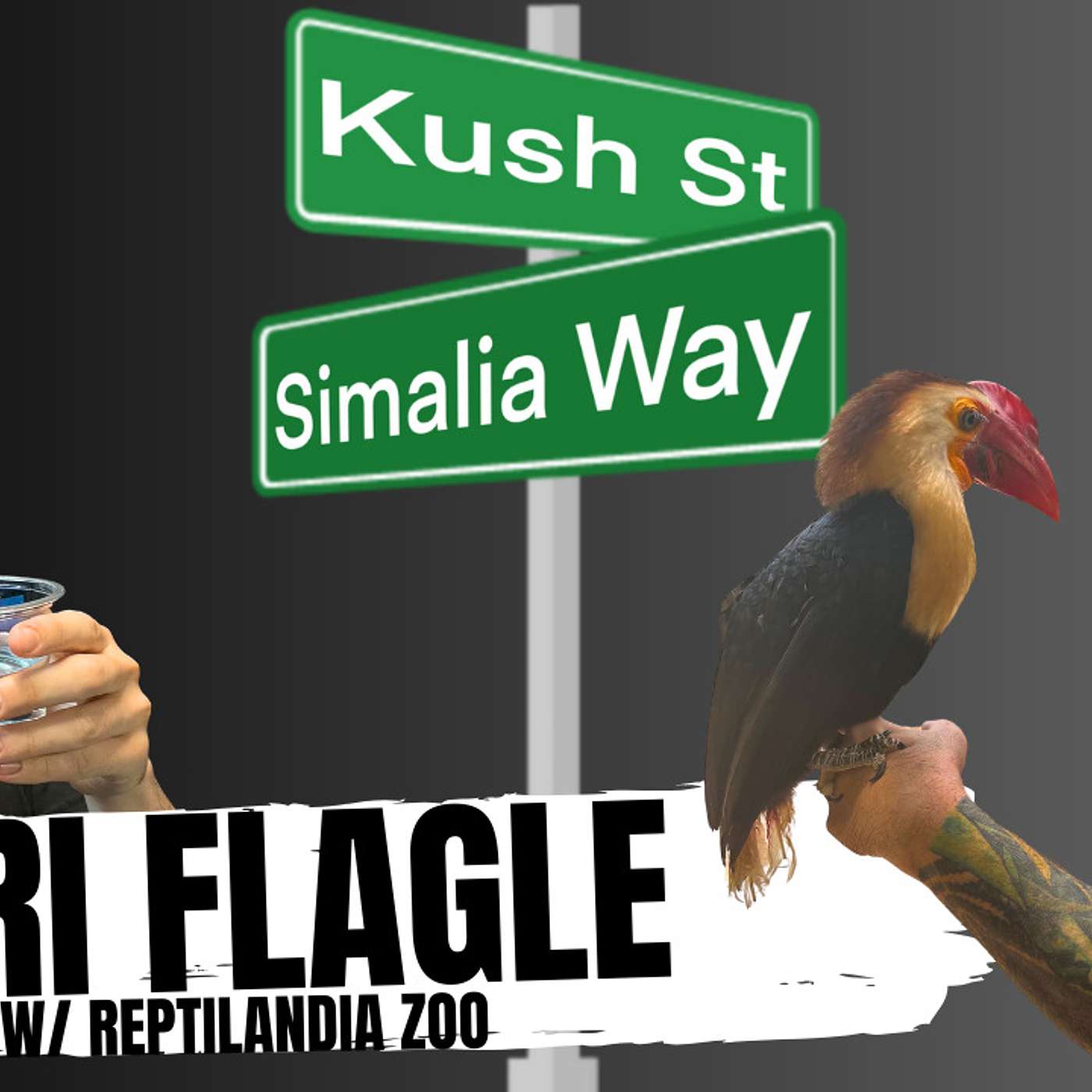 Ari Flagle on what it's like building & running a Reptile Zoo | Kush's Korner Ep.2
