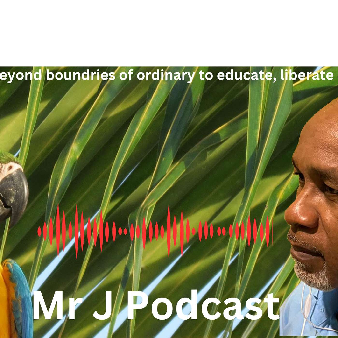 Mr J Podcast podcast artwork