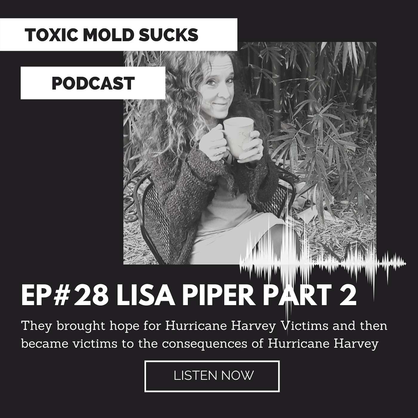 Toxic Mold Sucks Podcast, Presented by Malachi\'s Message Foundation