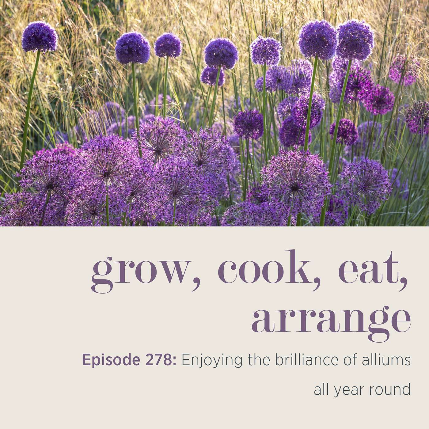 Enjoying the brilliance of alliums all year round - Episode 278 episode artwork