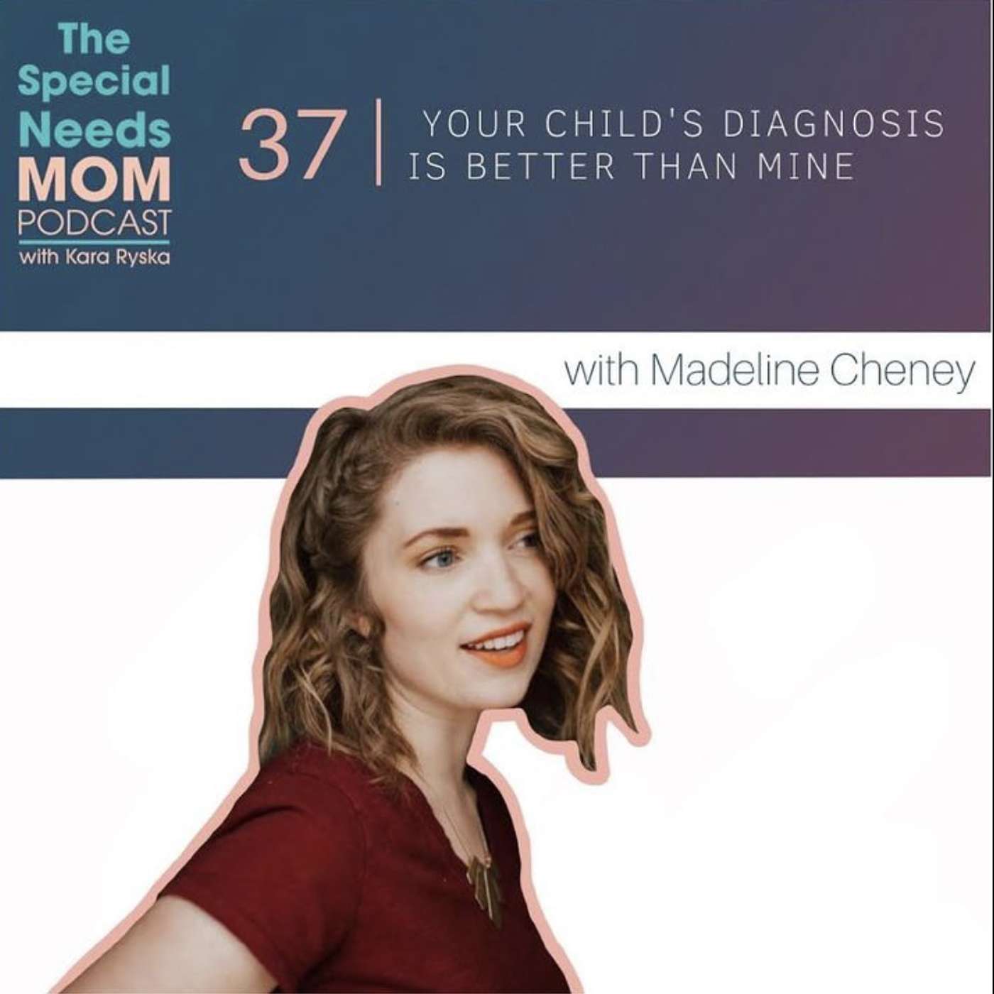 The Special Needs Mom Podcast