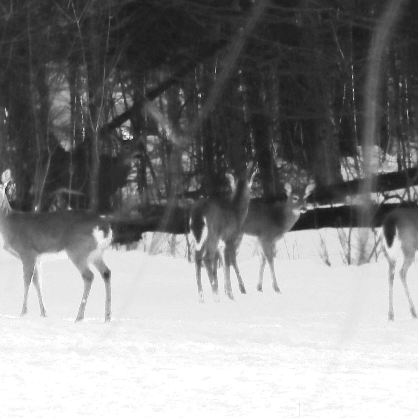 ON THE MOVE