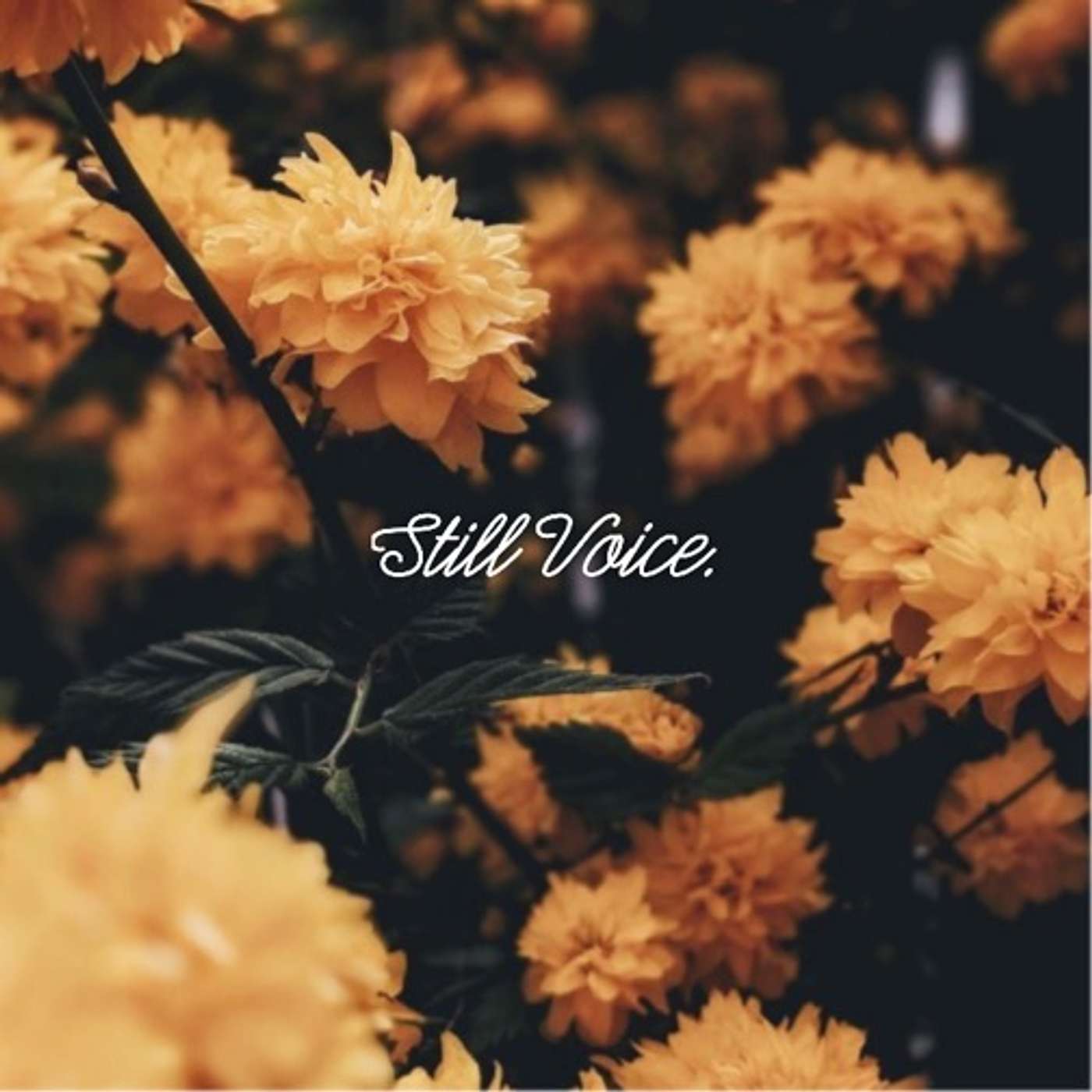 Still Voice - William Pippins (ft). Will Kellum