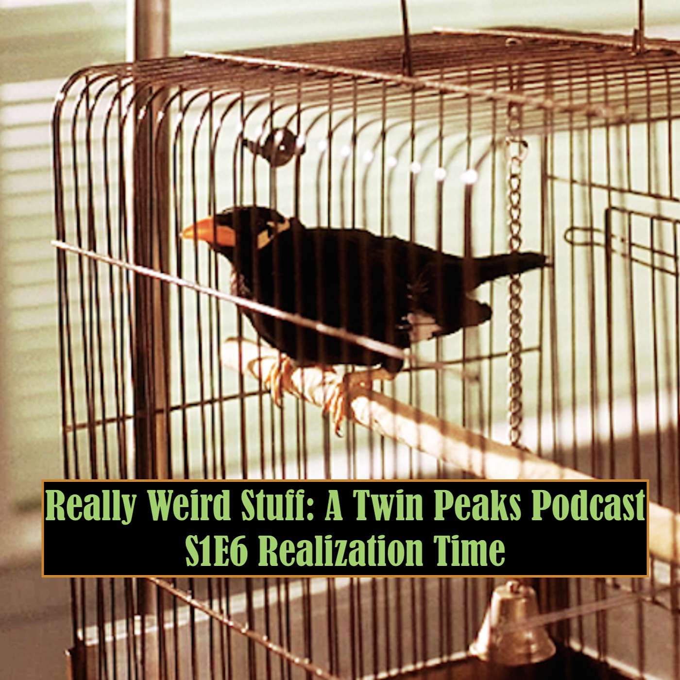 Really Weird Stuff: A Twin Peaks Podcast