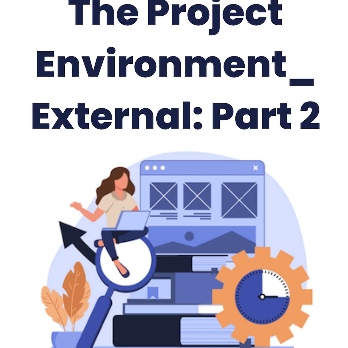 The Project Environment_External_Part 2