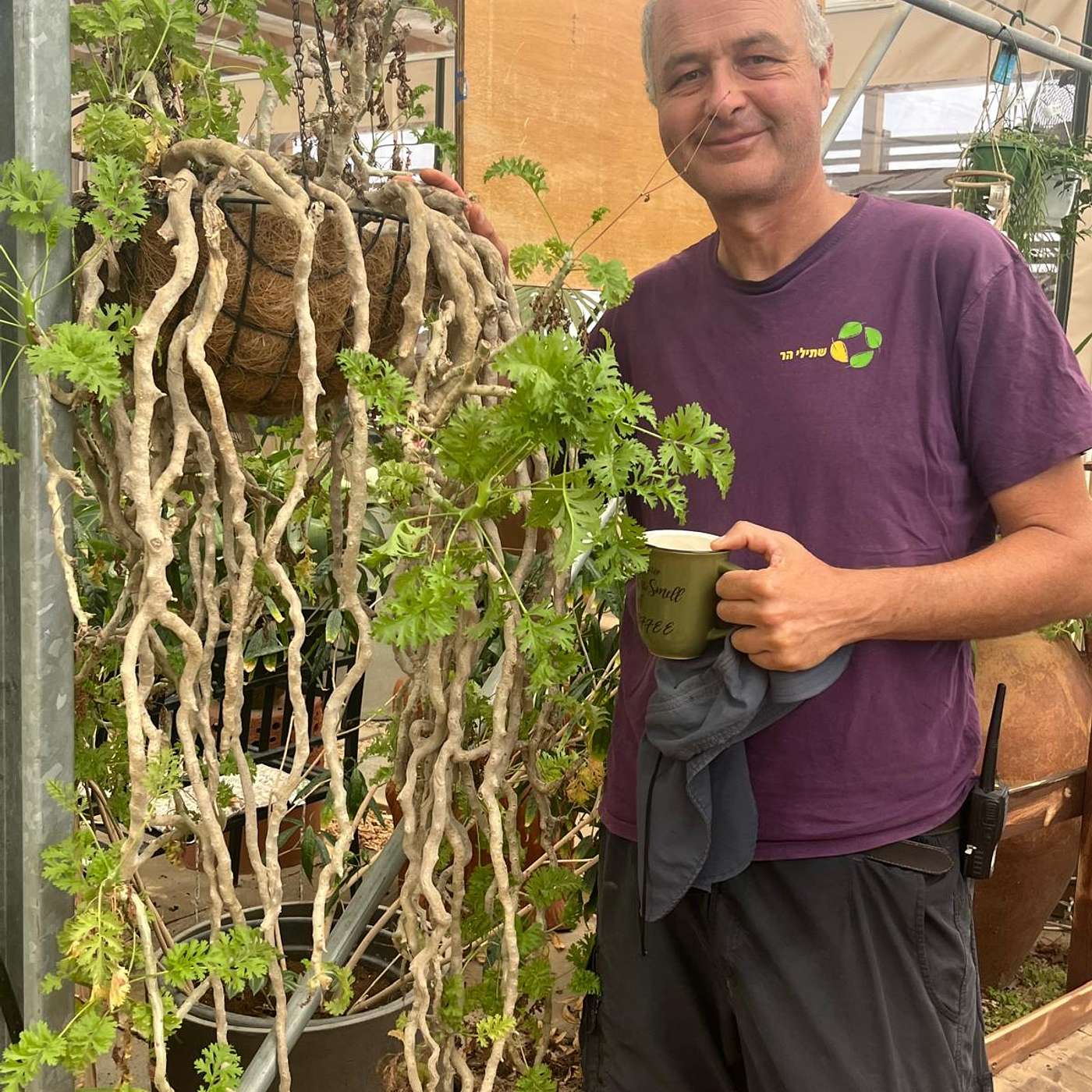 אצל גל  משתילי הר