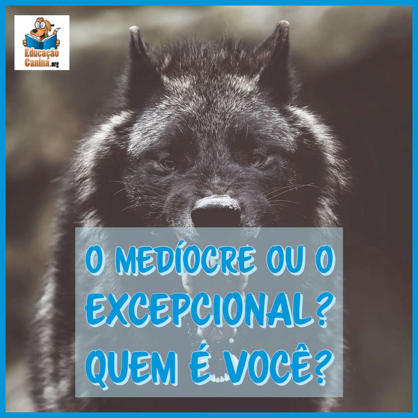 O medíocre ou o excepcional? Quem é você?