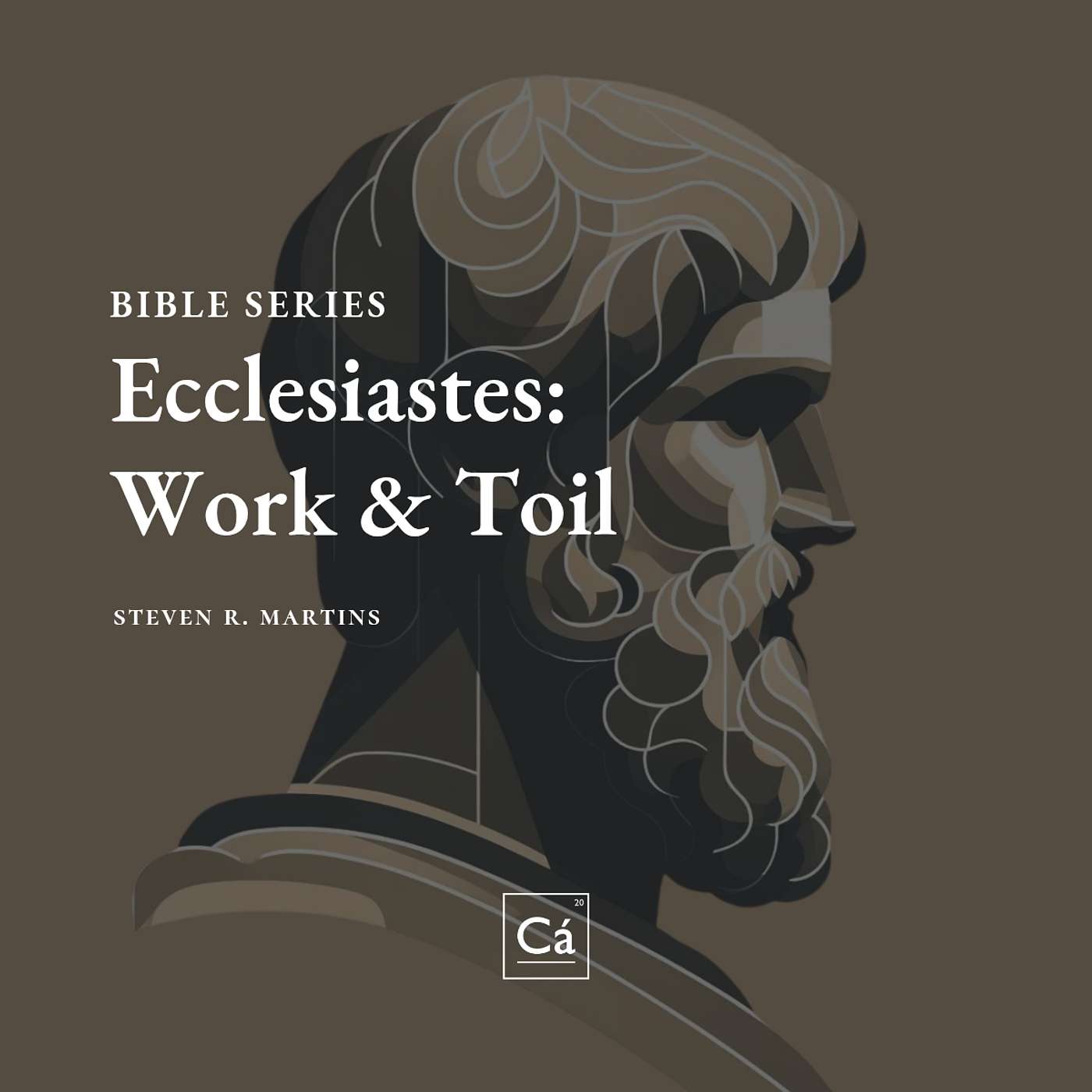 Ecclesiastes: Work & Toil | Rev. Steven R. Martins episode artwork