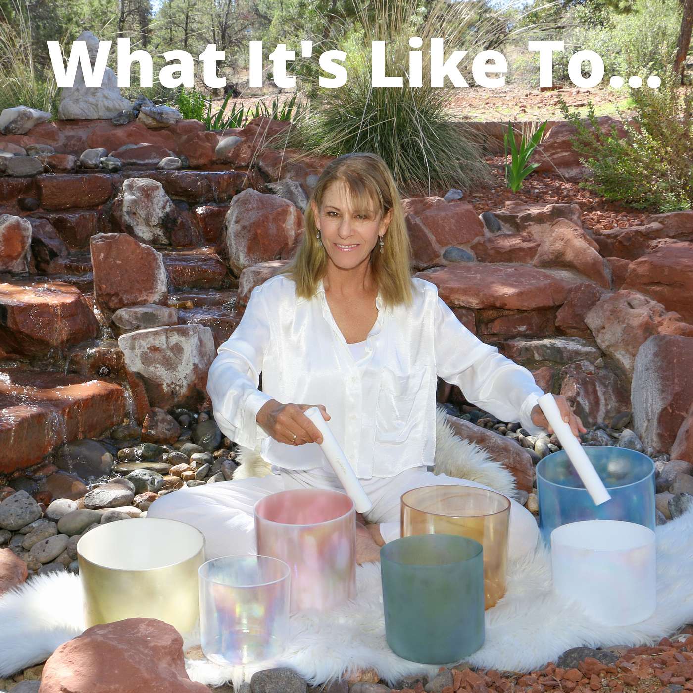 What It\'s Like To...