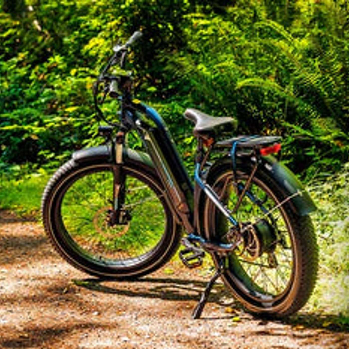 Riding an Ebike: Navigating Unexpected Situations