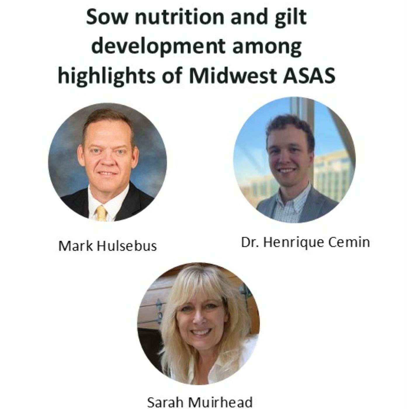 Sow nutrition and gilt development among highlights of Midwest ASAS