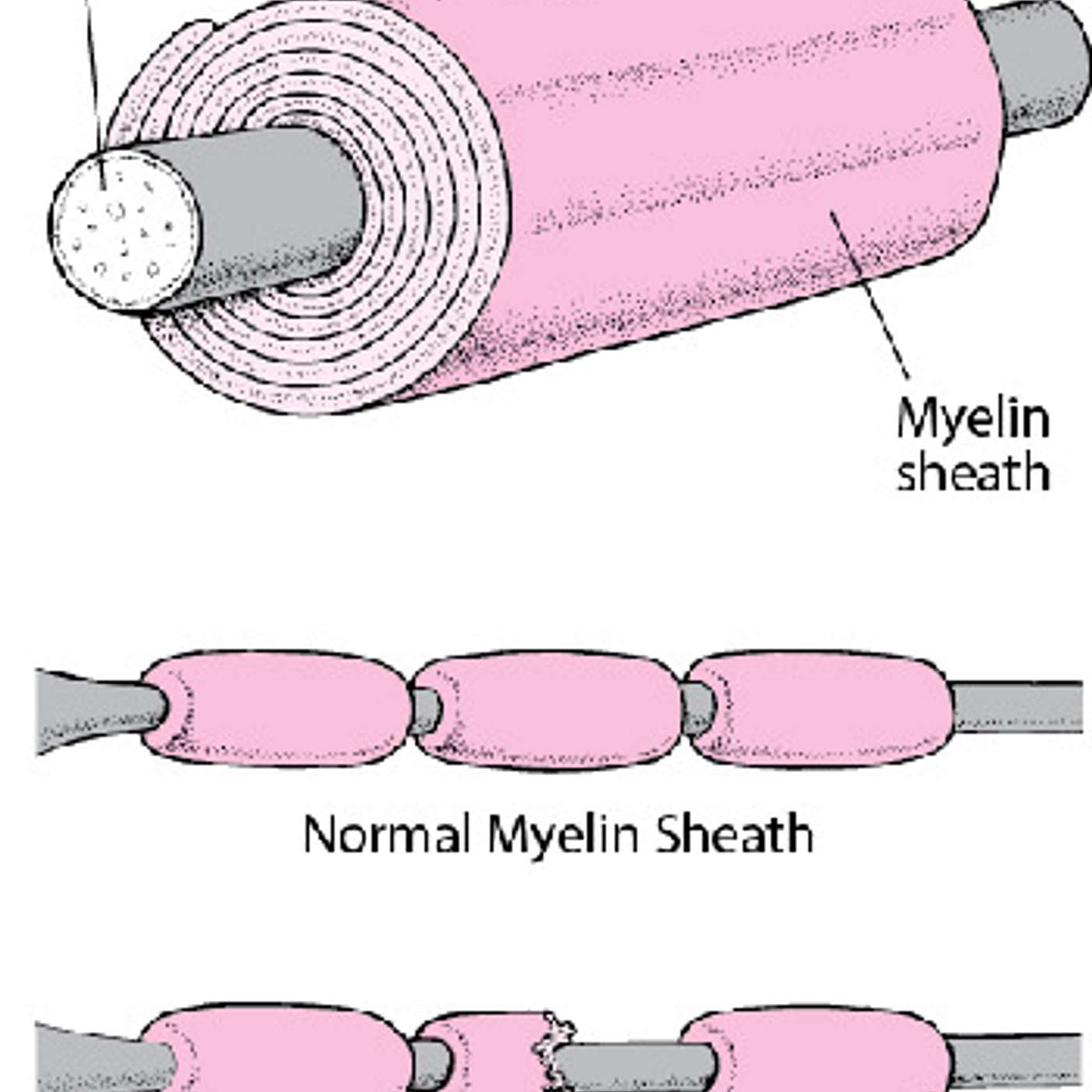 Lifeline to Vitality
