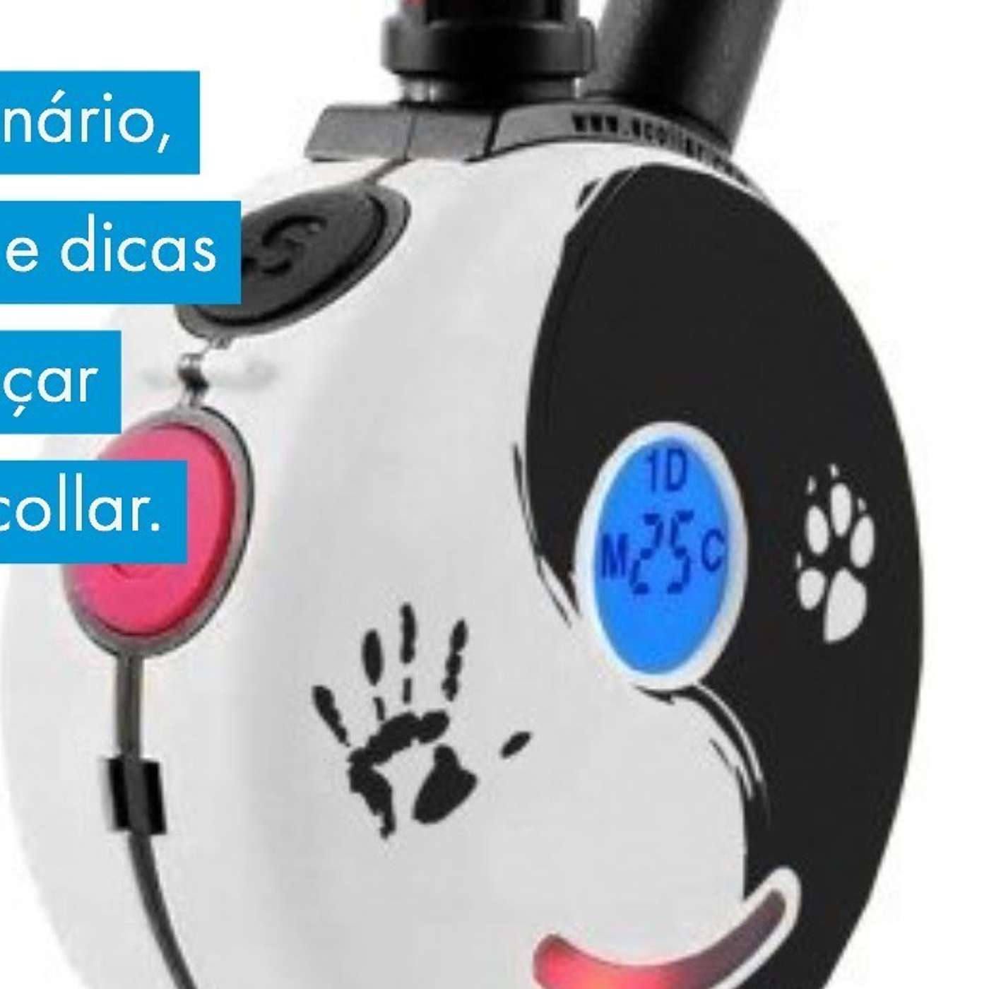 Novo seminário, novidades e dicas sobre introdução da E-collar 🐶 episode artwork
