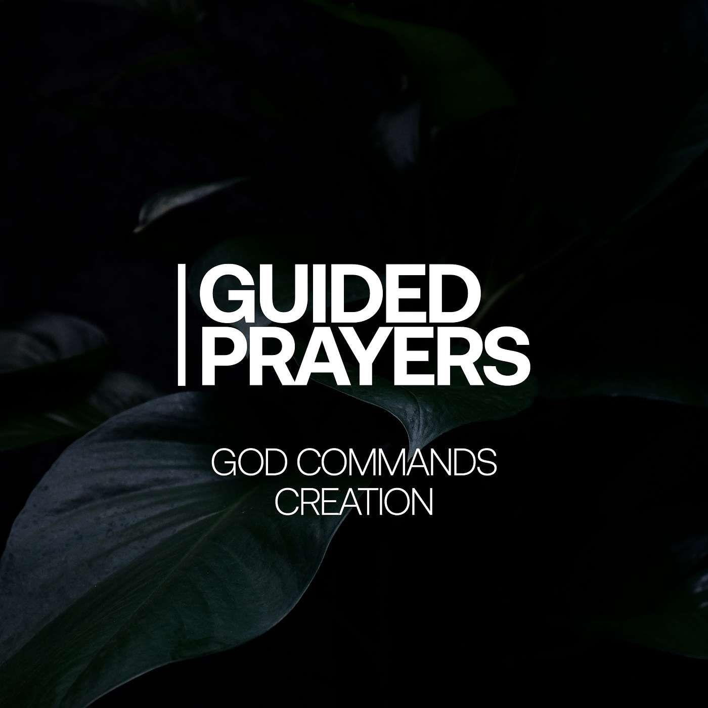 Calm The Storms In Your Life | Guided Prayers episode artwork
