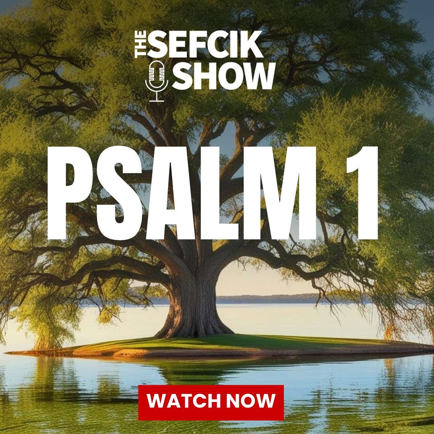 Psalm 1 episode artwork
