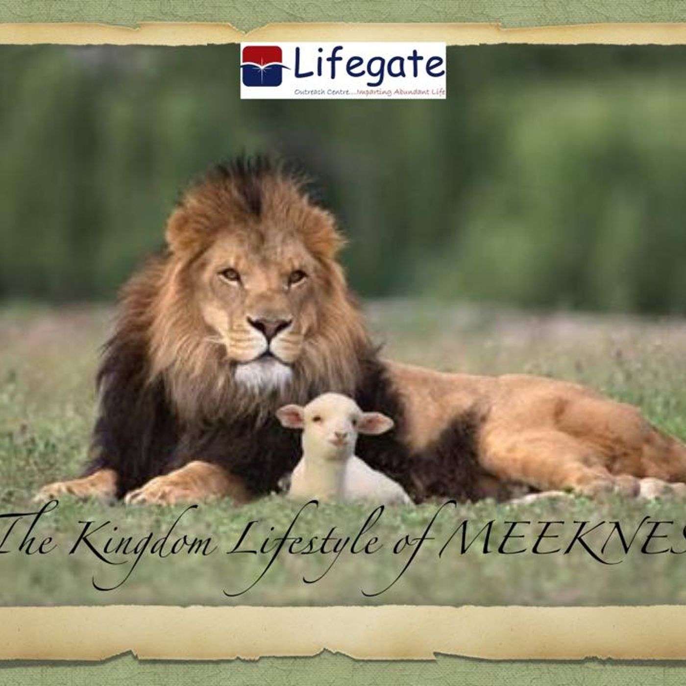 The Kingdom Lifestyle of Meekness episode artwork