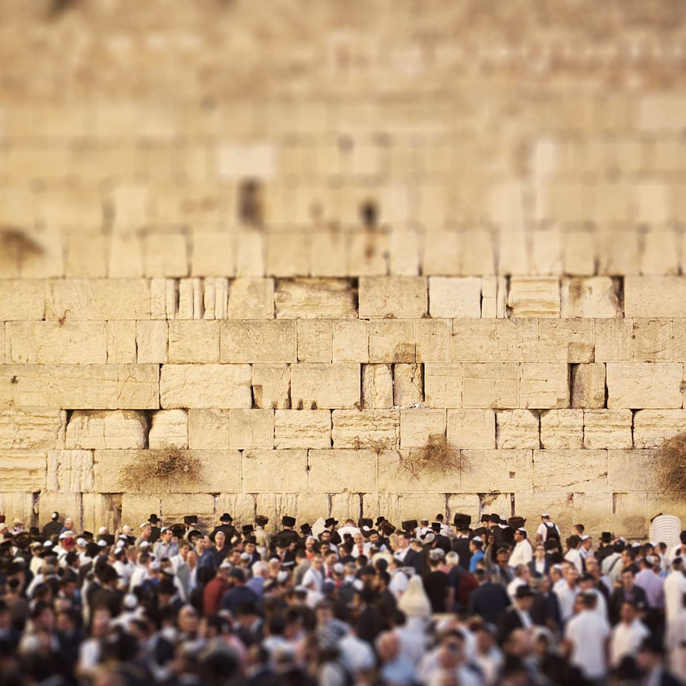 John: Missing the Messiah