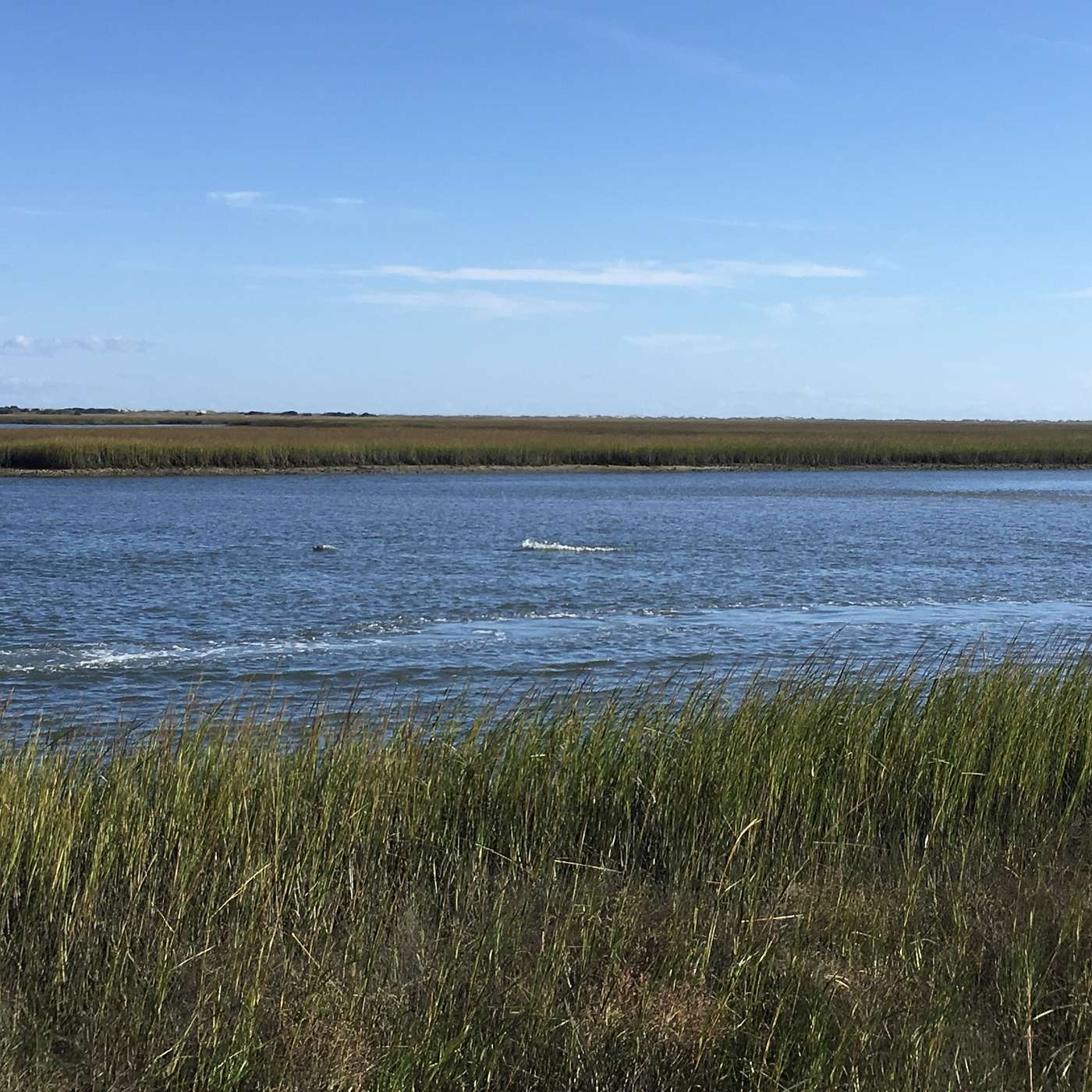 Sounds of Coastal North Carolina