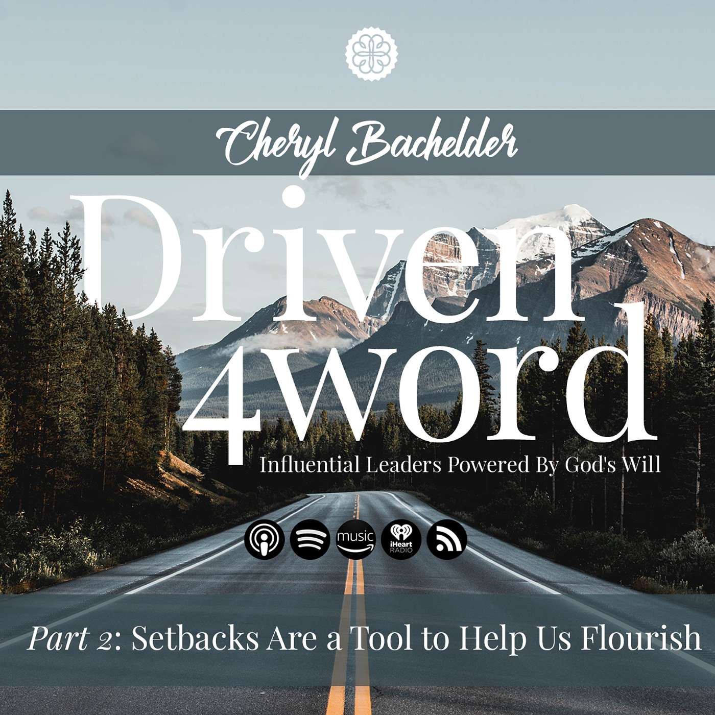 Setbacks Are a Tool to Help Us Flourish - Cheryl Bachelder: Part 2