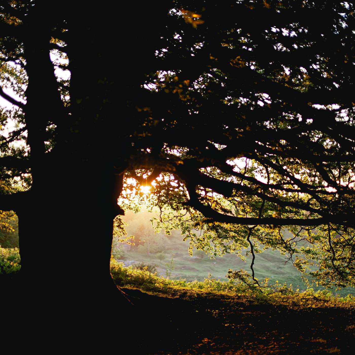 Experience of the Soul Podcast Channel