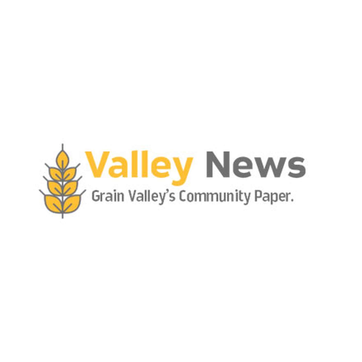 Valley News Demo cover art