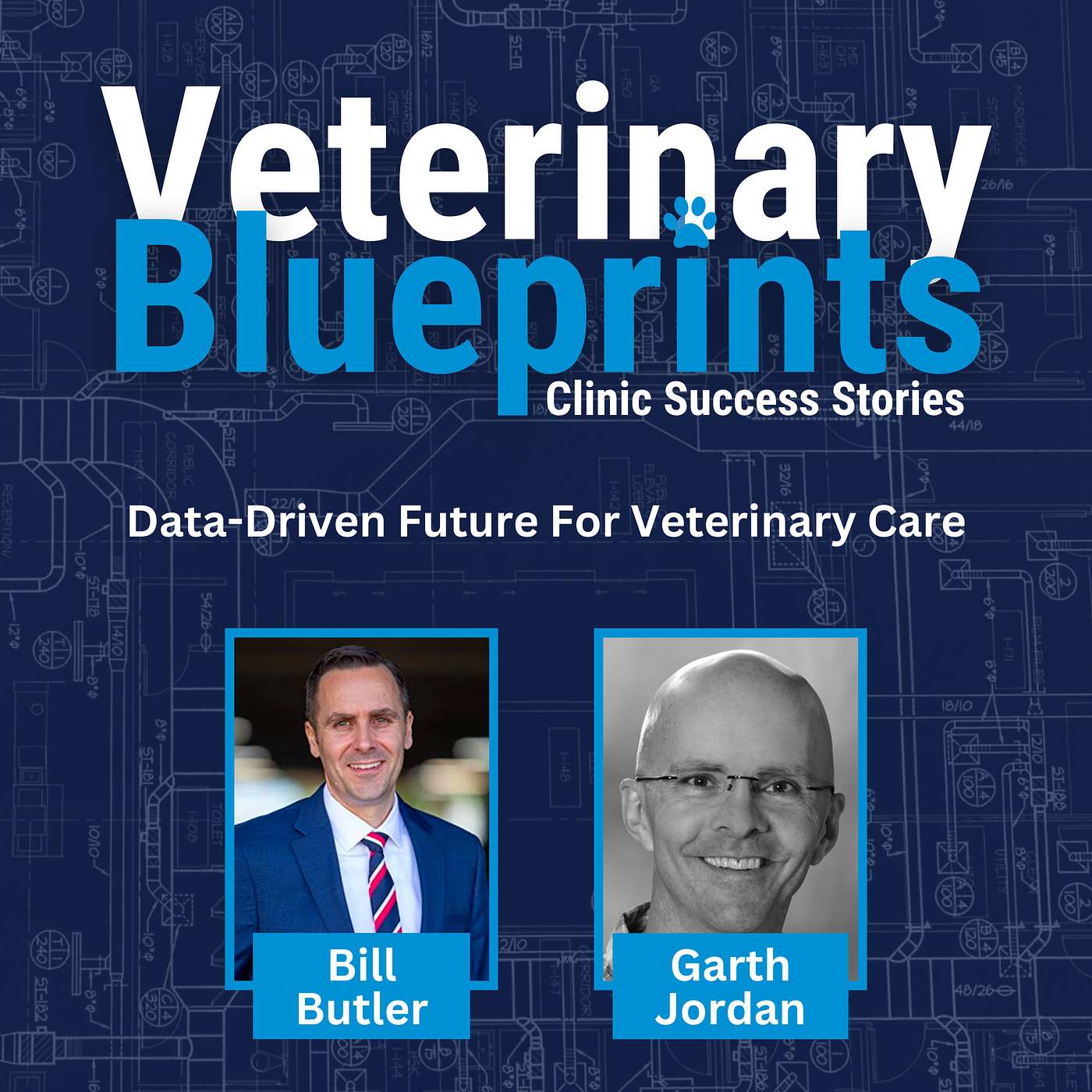 Veterinary Blueprints