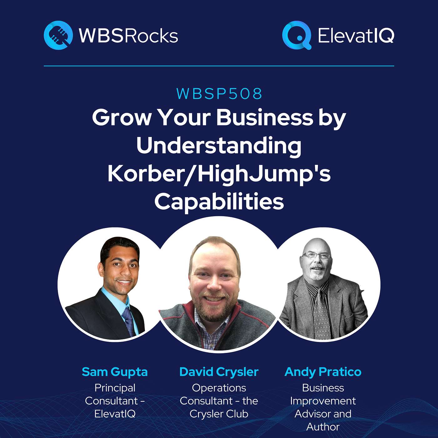 WBSP508: Grow Your Business by Understanding Korber/HighJump' Capabilities, an Objective Panel Discussion
