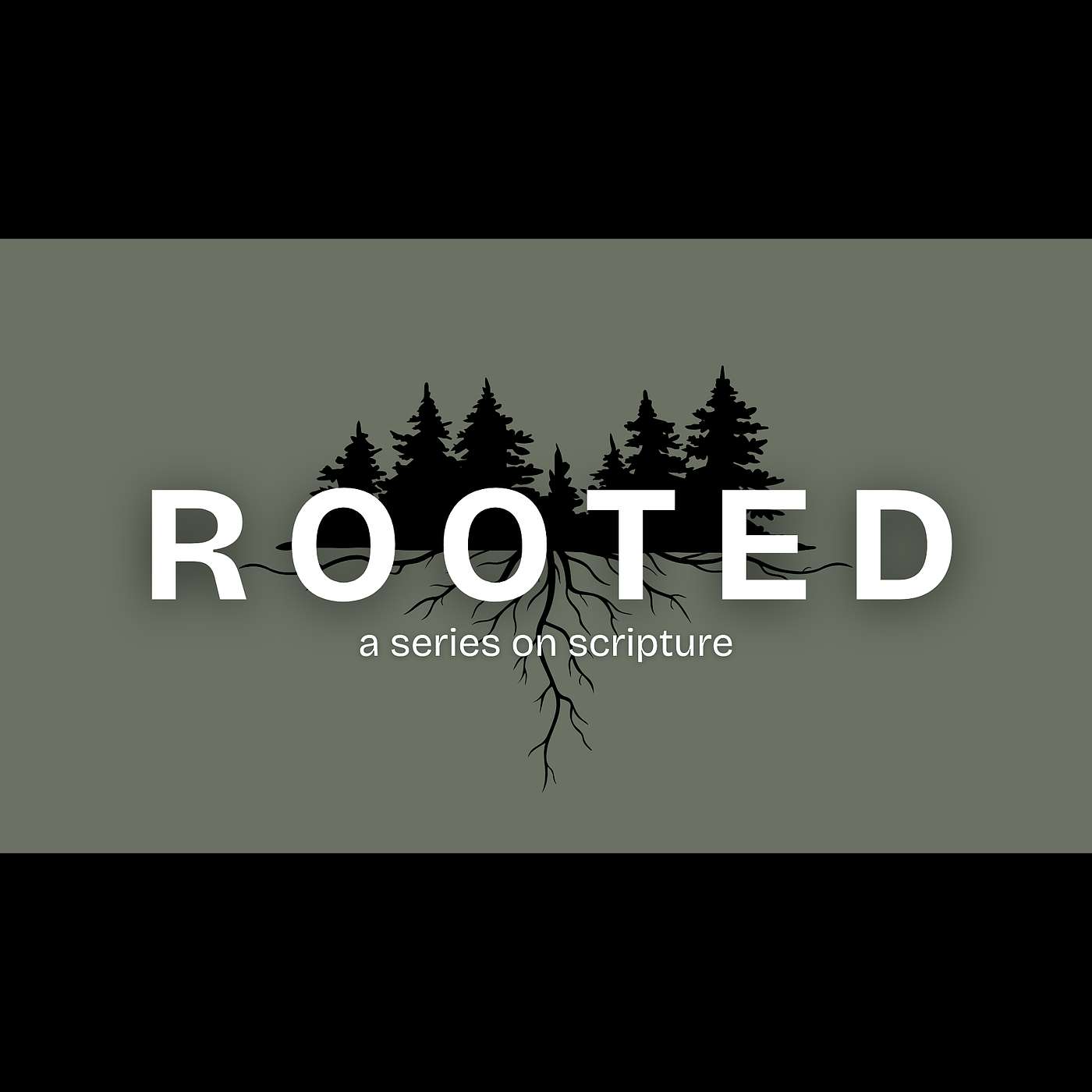 Jesus as the Lens - Pastor Matt Shetler
