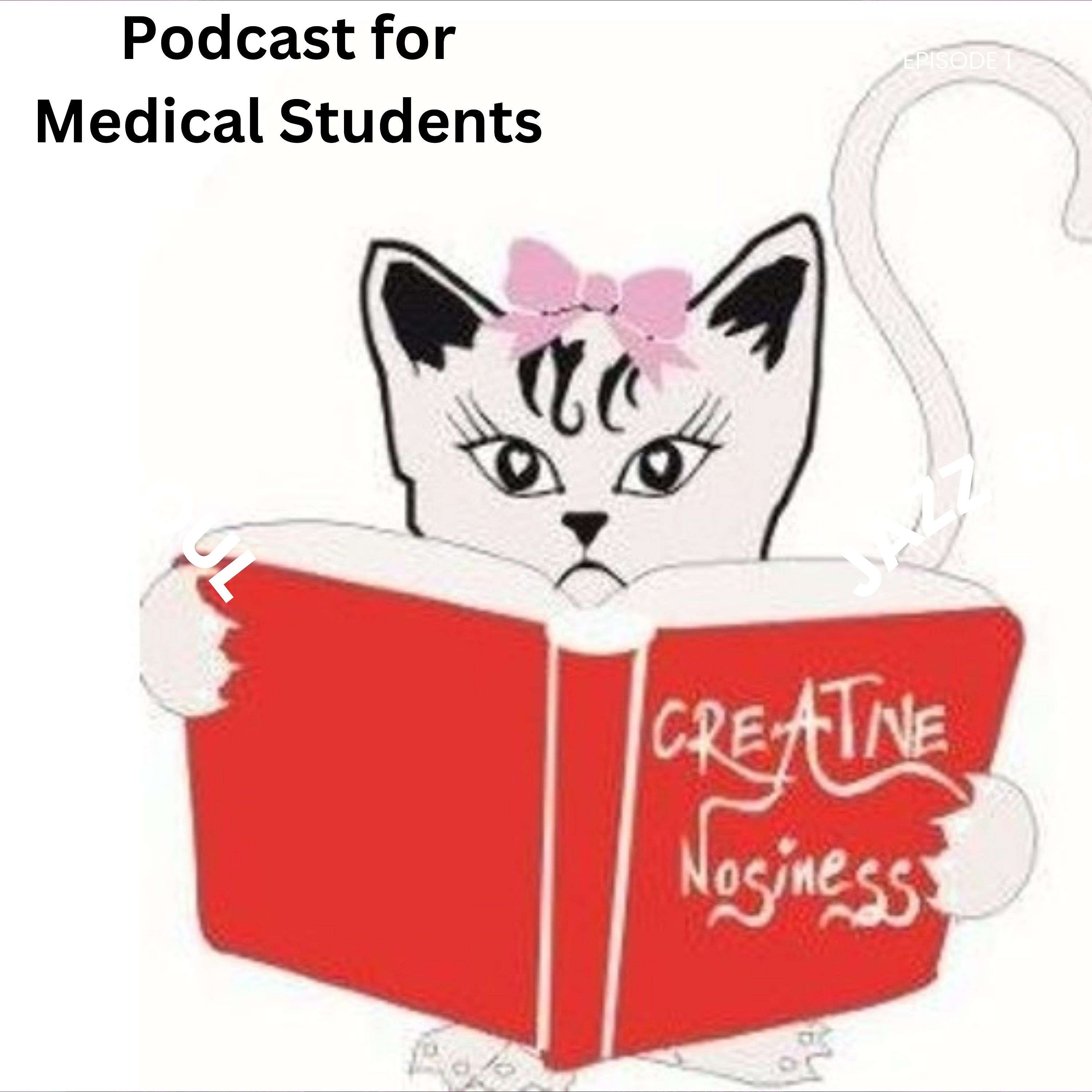Creative Nosiness